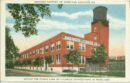 American licorice co