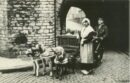 Belgium flemish maid