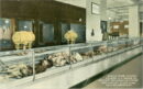 Boston store meat dept