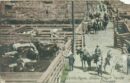 Cattle pens union stock yards horses