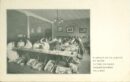 Chicago kindergarten college students