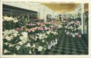 Edgewater beach hotel flower shop