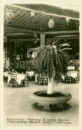 Edgewater beach hotel fountain