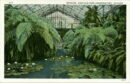 Gar p conservatory int huge ferns
