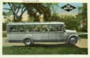Gray line bus full