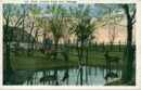 L p zoo elk pond