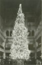 Marshall field tree