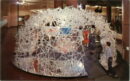 Msi human cell