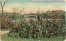 Union park bridge and flowers beds