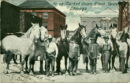 Union stock yards horse market & journal