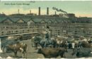 Union stockyards