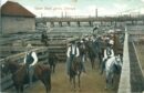 Union stockyards cowboys