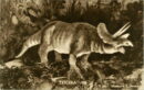World a million years ago triceratops